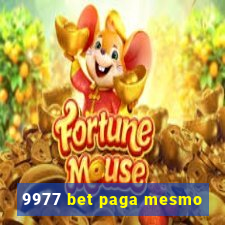 9977 bet paga mesmo